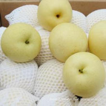 Fresh Golden Pear From China